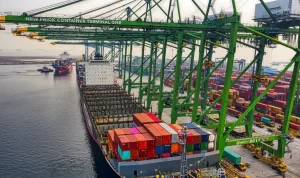 064240900_1684666833-pexels-tom-fisk-3840447