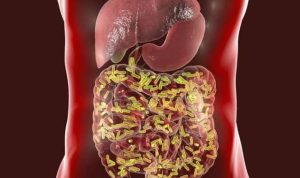 images-9-1-701x375-1