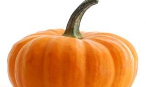 139c4d66628cbc851a74b6b8baa29972