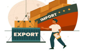 images-2025-02-19T141527.855