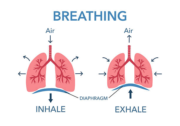 istockphoto-2232981179-612x612