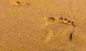 debabrata-hazra-3cVt9E5xKm8-unsplash_11zon