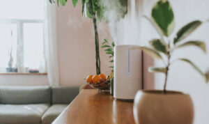 Air Humidifier increasing the humidity in a living room for better air