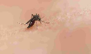 national-institute-of-allergy-and-infectious-diseases-Z2pq_4mj6BI-unsplash_11zon