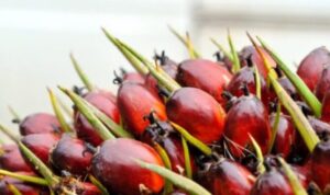 1000041094-750x422-1-620x330-1-750x400