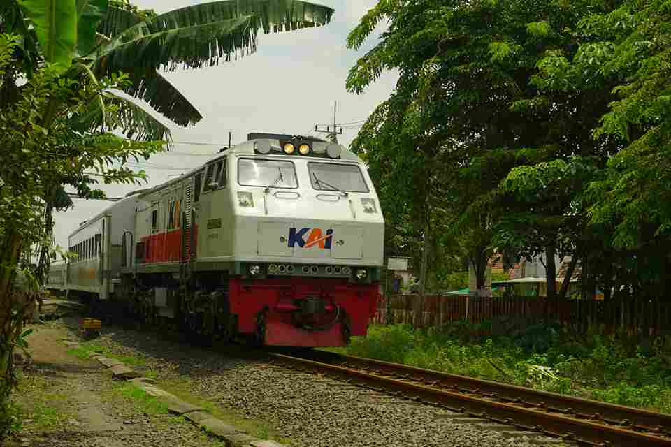 muhammad-arief-4Tk48VSxcjk-unsplash_11zon